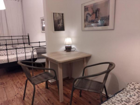 Large Studio Family Apartment